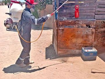 CONTINÚAN ACCIONES DE PREVENCIÓN Y CONTROL DE RICKETTSIOSIS EN LA ZONA DE VIZCAÍNO.