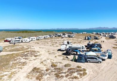 Promueve FONMAR concientización ambiental entre caravana vehicular de extranjeros.