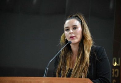 Reformas a la Ley de Justicia para Adolescentes que respeten sus DDHH, propuso la diputada Arlene Moreno Maciel.